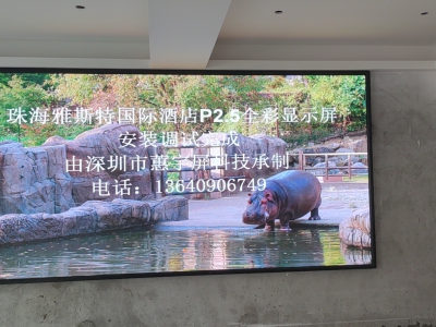 珠海雅斯特國際酒店會(huì)議室p2.5全彩屏